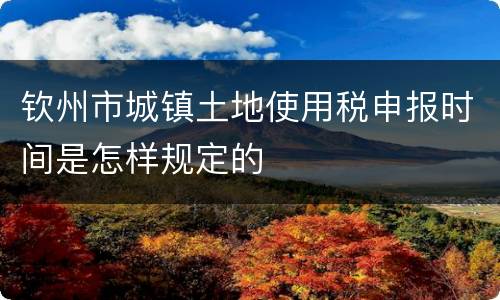 钦州市城镇土地使用税申报时间是怎样规定的