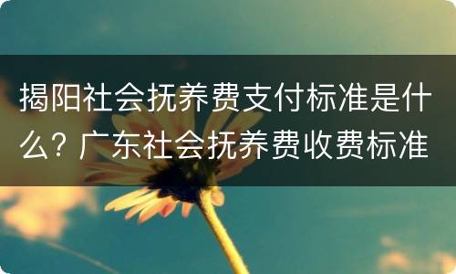 揭阳社会抚养费支付标准是什么? 广东社会抚养费收费标准