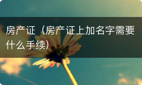 房产证（房产证上加名字需要什么手续）