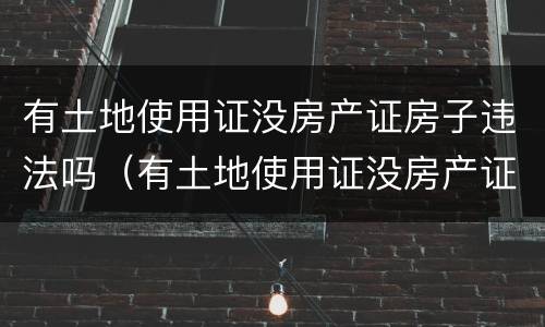 有土地使用证没房产证房子违法吗（有土地使用证没房产证房子违法吗）
