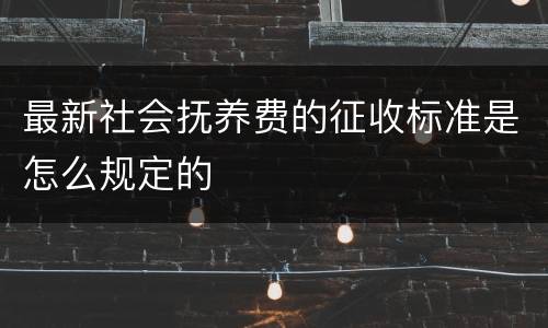 最新社会抚养费的征收标准是怎么规定的