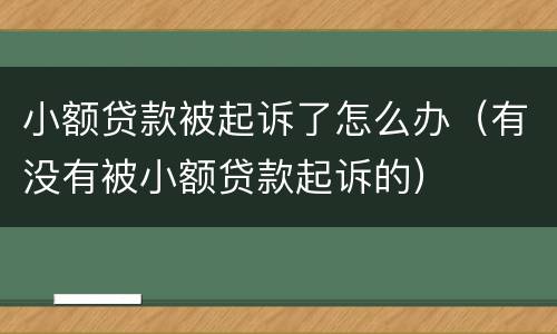 小额贷款被起诉了怎么办（有没有被小额贷款起诉的）