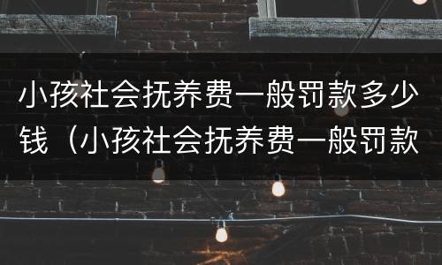小孩社会抚养费一般罚款多少钱（小孩社会抚养费一般罚款多少钱一个月）