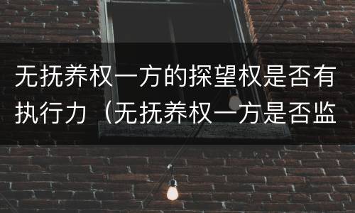 无抚养权一方的探望权是否有执行力（无抚养权一方是否监护人）