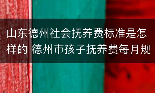 山东德州社会抚养费标准是怎样的 德州市孩子抚养费每月规定多少