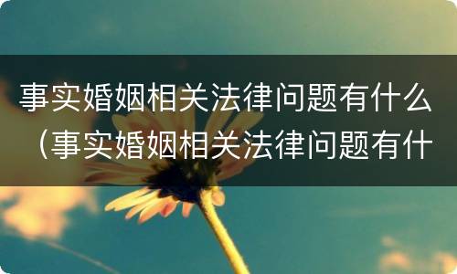 事实婚姻相关法律问题有什么（事实婚姻相关法律问题有什么影响）