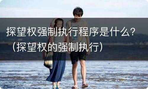 探望权强制执行程序是什么？（探望权的强制执行）