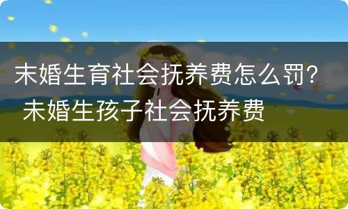 末婚生育社会抚养费怎么罚？ 未婚生孩子社会抚养费