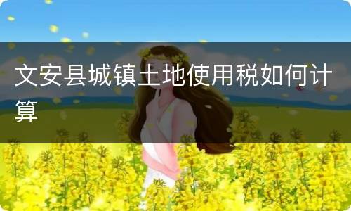 文安县城镇土地使用税如何计算