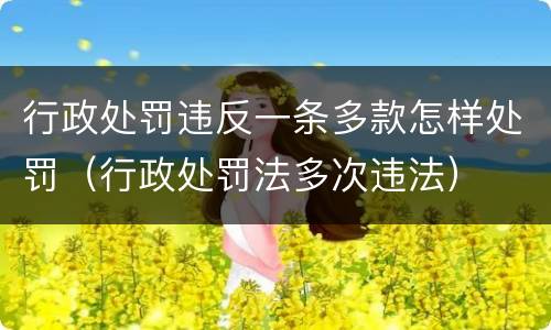 行政处罚违反一条多款怎样处罚（行政处罚法多次违法）