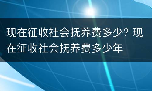 现在征收社会抚养费多少? 现在征收社会抚养费多少年