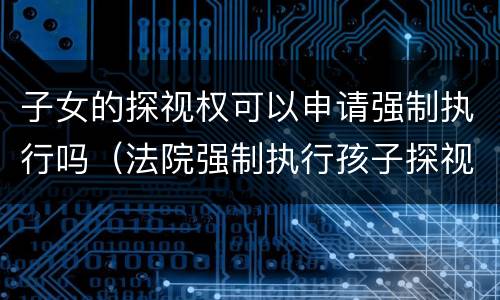 子女的探视权可以申请强制执行吗（法院强制执行孩子探视权有用吗）