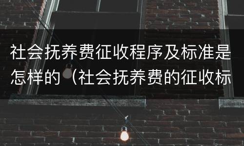 社会抚养费征收程序及标准是怎样的（社会抚养费的征收标准是怎样确定）