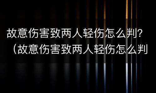 故意伤害致两人轻伤怎么判？（故意伤害致两人轻伤怎么判刑）