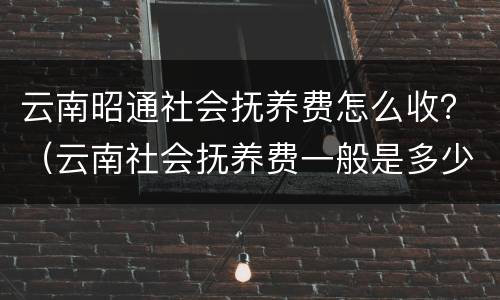 云南昭通社会抚养费怎么收？（云南社会抚养费一般是多少）