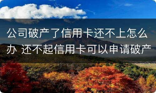 公司破产了信用卡还不上怎么办 还不起信用卡可以申请破产吗