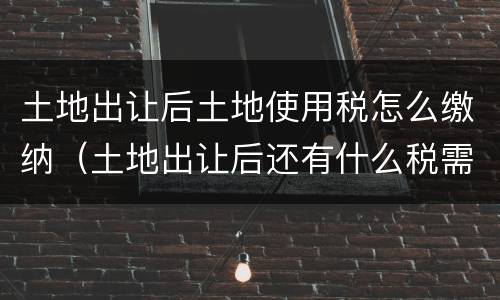 土地出让后土地使用税怎么缴纳（土地出让后还有什么税需缴纳）