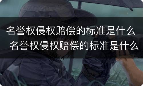 名誉权侵权赔偿的标准是什么 名誉权侵权赔偿的标准是什么意思