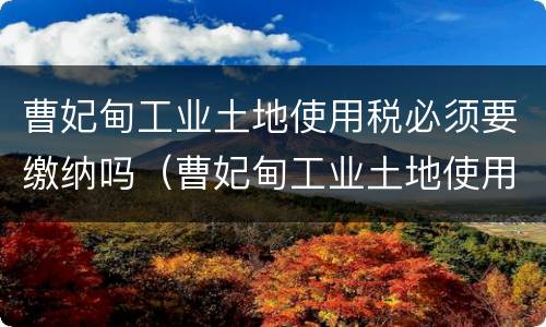 曹妃甸工业土地使用税必须要缴纳吗（曹妃甸工业土地使用税必须要缴纳吗现在）