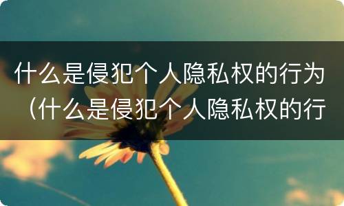 什么是侵犯个人隐私权的行为（什么是侵犯个人隐私权的行为呢）