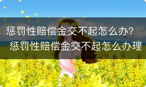 惩罚性赔偿金交不起怎么办？ 惩罚性赔偿金交不起怎么办理