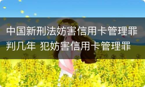 中国新刑法妨害信用卡管理罪判几年 犯妨害信用卡管理罪