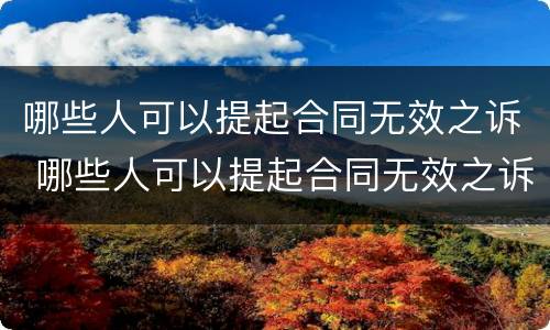 哪些人可以提起合同无效之诉 哪些人可以提起合同无效之诉呢