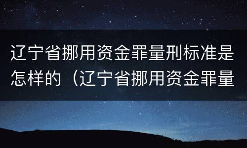 辽宁省挪用资金罪量刑标准是怎样的（辽宁省挪用资金罪量刑标准是怎样的呢）