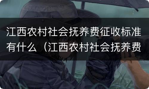 江西农村社会抚养费征收标准有什么（江西农村社会抚养费征收标准有什么要求）