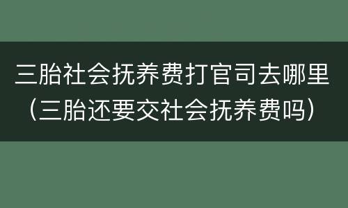 三胎社会抚养费打官司去哪里（三胎还要交社会抚养费吗）