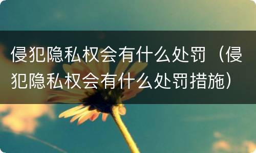 侵犯隐私权会有什么处罚（侵犯隐私权会有什么处罚措施）