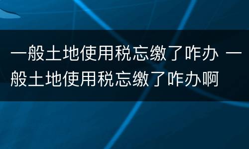 一般土地使用税忘缴了咋办 一般土地使用税忘缴了咋办啊