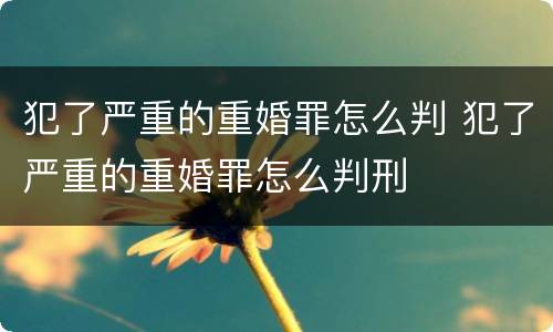 犯了严重的重婚罪怎么判 犯了严重的重婚罪怎么判刑