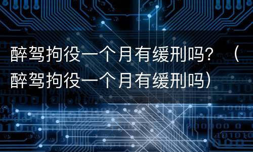 醉驾拘役一个月有缓刑吗？（醉驾拘役一个月有缓刑吗）