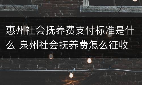 惠州社会抚养费支付标准是什么 泉州社会抚养费怎么征收