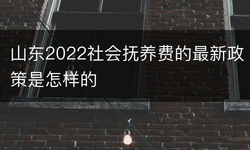 山东2022社会抚养费的最新政策是怎样的