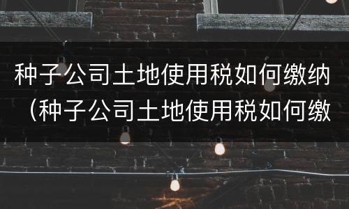 种子公司土地使用税如何缴纳（种子公司土地使用税如何缴纳税款）