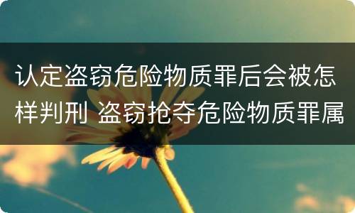认定盗窃危险物质罪后会被怎样判刑 盗窃抢夺危险物质罪属于具体危险犯