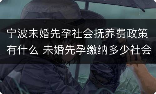 宁波未婚先孕社会抚养费政策有什么 未婚先孕缴纳多少社会抚养费