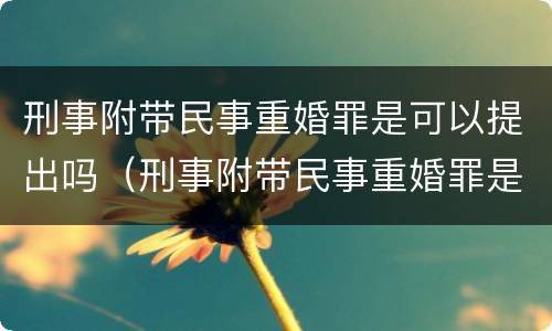 刑事附带民事重婚罪是可以提出吗（刑事附带民事重婚罪是可以提出吗判决书）