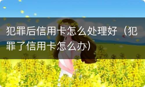 犯罪后信用卡怎么处理好（犯罪了信用卡怎么办）
