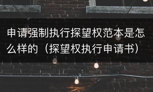 申请强制执行探望权范本是怎么样的（探望权执行申请书）