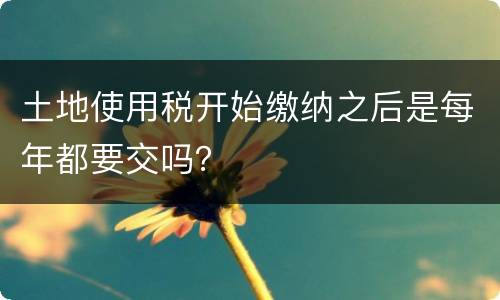 土地使用税开始缴纳之后是每年都要交吗？