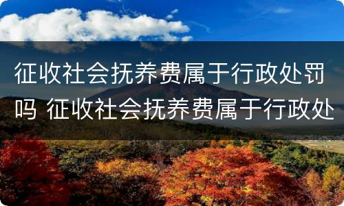 征收社会抚养费属于行政处罚吗 征收社会抚养费属于行政处罚吗对吗