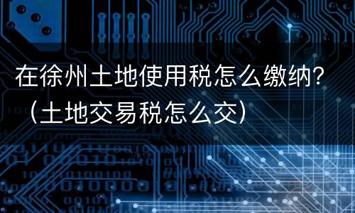 在徐州土地使用税怎么缴纳？（土地交易税怎么交）