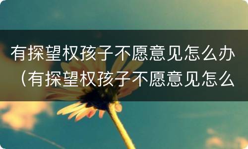 有探望权孩子不愿意见怎么办（有探望权孩子不愿意见怎么办理）