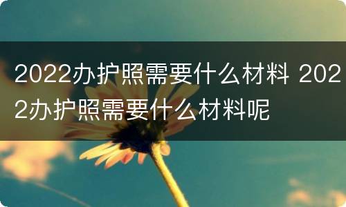 2022办护照需要什么材料 2022办护照需要什么材料呢
