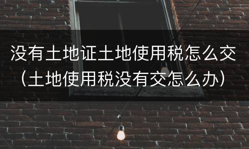 没有土地证土地使用税怎么交（土地使用税没有交怎么办）