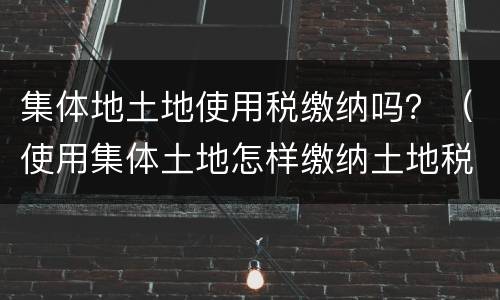 集体地土地使用税缴纳吗？（使用集体土地怎样缴纳土地税）