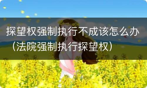 探望权强制执行不成该怎么办（法院强制执行探望权）
